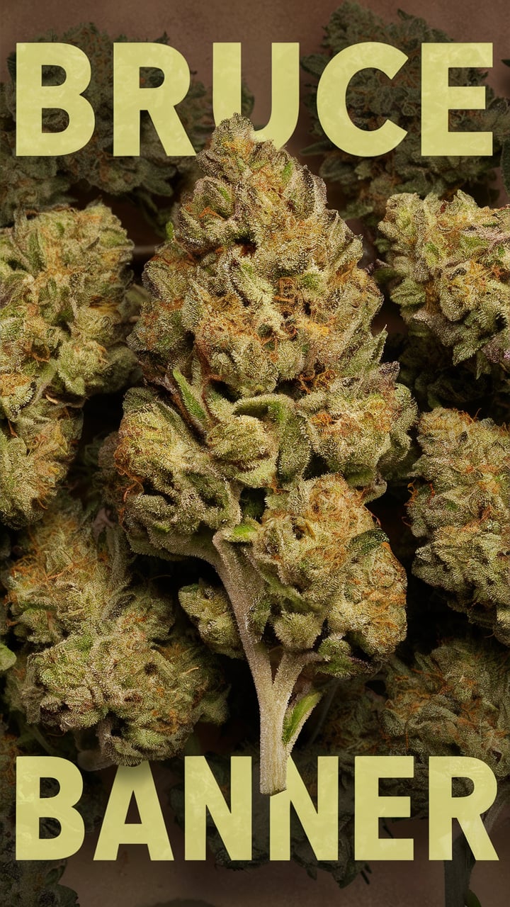 Bruce Banner Blüten kaufen bei Rauch-Planet.de