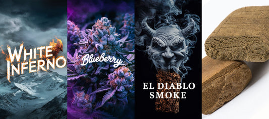 White Inferno Räuchermischung + Bluebberry + El Diablo Smoke + Haschisch 25%