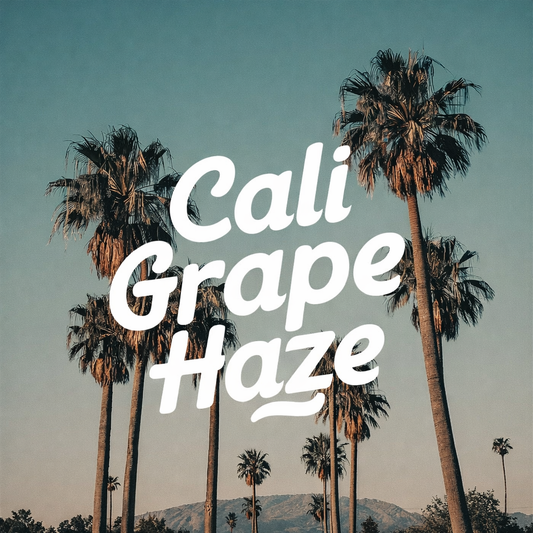 Cali Grape Haze Räuchermischung kaufen fruchtig intensiv

Cali Grape Haze starke Räuchermischung Aroma

hochwertige Räuchermischung Cali Grape Haze