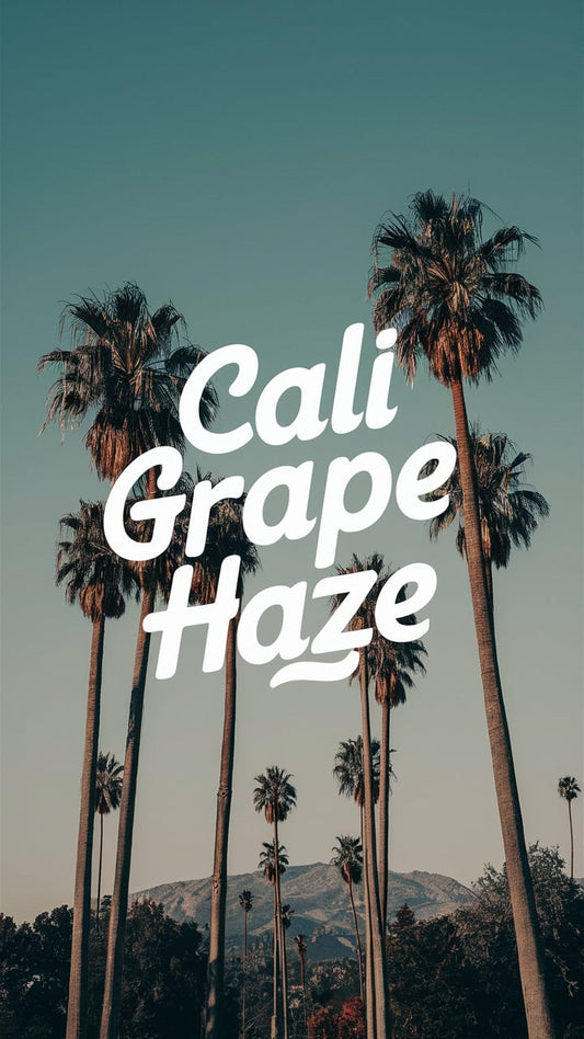 Cali Grape Haze Räuchermischung kaufen bei Rauch-Planet.de