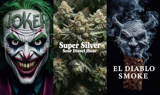 Joker Räuchermischung + Super Silver Sour Diesel Haze + El Diablo Smoke