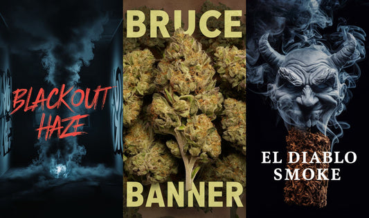 Blackout Haze Räuchermischung + Bruce Banner + El Diablo Smoke