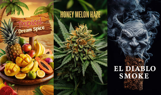 Tropical Dream Spice Räuchermischung + Honey Melon Haze + El Diablo Smoke