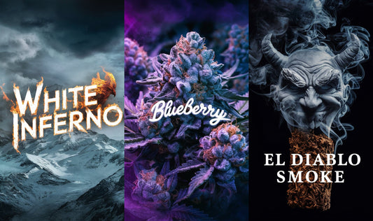 White Inferno Räuchermischung + Blueberry + El Diablo Smoke