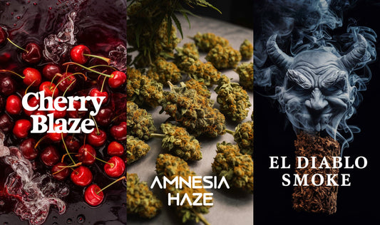 Cherry Blaze Räuchermischung + Amnesia Haze + El Diablo Smoke
