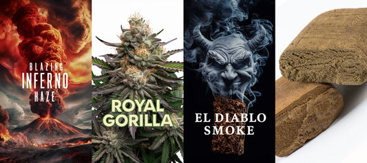 Inferno Blazing Haze Räuchermischung + Royal Gorilla + El Diablo Smoke + Haschisch 25%