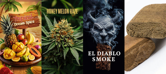 Tropical Dream Spice Räuchermischung + Honey Melon Haze + El Diablo Smoke + Haschisch 25%